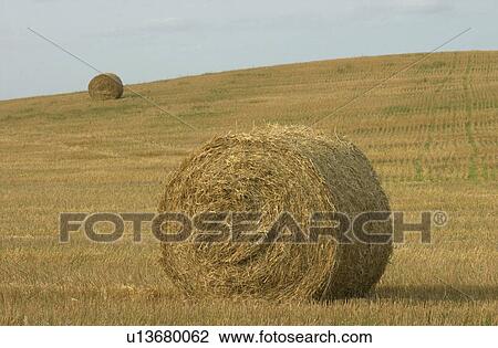 Manitoba Prairie Scenes View Large Photo Image Stock Image - Manitoba Prairie Scenes. Fotosearch