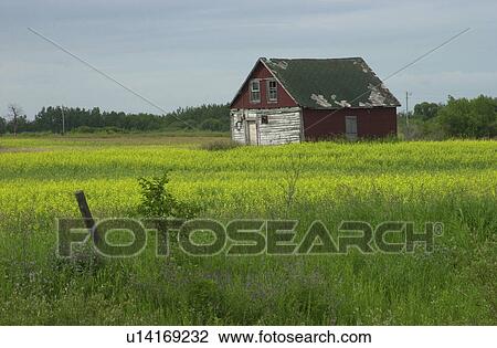 Manitoba Prairie Scenes View Large Photo Image Stock Image - Manitoba Prairie Scenes. Fotosearch