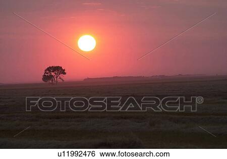 Manitoba Prairie Scenes View Large Photo Image Stock Photograph - Manitoba Prairie Scenes. Fotosearch