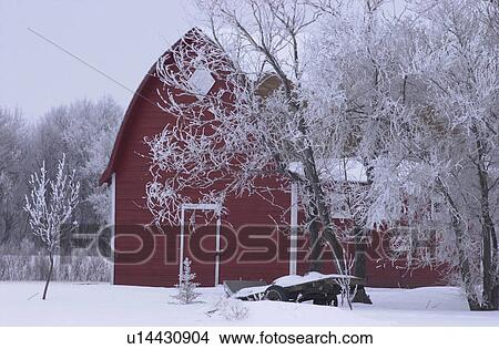 winter in Manitoba, prairie scene View Large Photo Image Picture - winter in Manitoba, prairie scene. Fotosearch