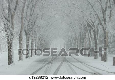 Winter Scenes - Canada View Large Photo Image Stock Image - Winter Scenes - Canada. Fotosearch