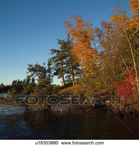 Autumn Colors Against Blue Sky View Large Photo Image Stock Image - Autumn Colors Against Blue Sky. Fotosearch