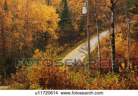 Picture - Autumn Colors at Lake of the Woods, Ontario, Canada. Fotosearch