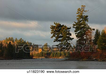 Autumn Colors at Lake of the Woods, Ontario, Canada View Large Photo Image Stock Image - Autumn Colors at Lake of the Woods, Ontario, Canada. Fotosearch