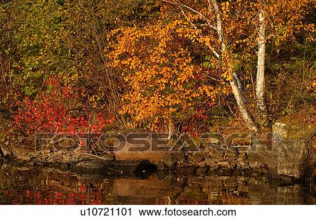 Lake Autumn Colors View Large Photo Image Stock Image - Lake Autumn Colors. Fotosearch