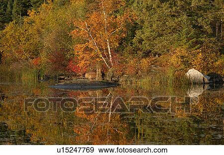 Stock Photo - Lake Autumn Colors. Fotosearch