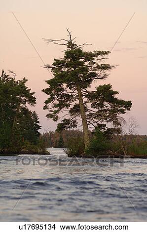 Lake of the Woods at twilight View Large Photo Image Picture - Lake of the Woods at twilight. Fotosearch