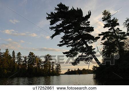 Stock Image - Lake of the Woods at twilight. Fotosearch
