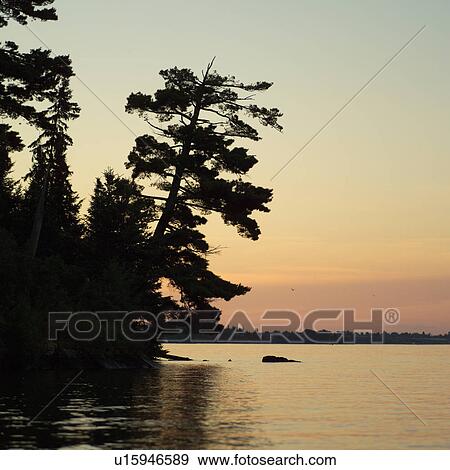 Lake of the Woods at Twilight View Large Photo Image Stock Photo - Lake of the Woods at Twilight. Fotosearch