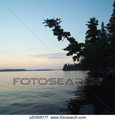 Stock Photo - Lake of the Woods at Twilight. Fotosearch