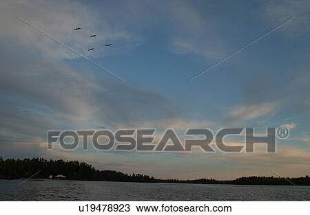 Lake of the Woods, Ontario, Canada View Large Photo Image Stock Image - Lake of the Woods, Ontario, Canada. Fotosearch