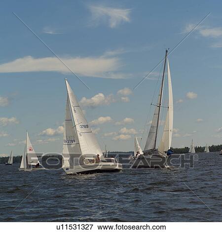 Stock Photo - Sail boats sailing in a Lake of the woods, Ontario, Canada. Fotosearch