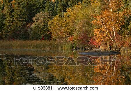 Stock Image - Autumn Colors Reflected in Lake. Fotosearch