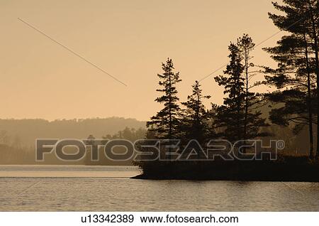 Lake of the Woods at twilight View Large Photo Image Stock Photo - Lake of the Woods at twilight. Fotosearch