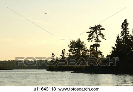 Lake of the Woods, Ontario, Canada View Large Photo Image Stock Photo - Lake of the Woods, Ontario, Canada. Fotosearch