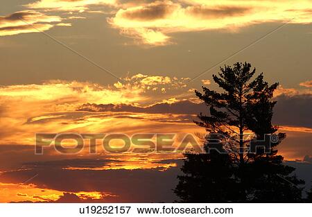 Stock Photo - Lake of the Woods, Ontario, Canada. Fotosearch