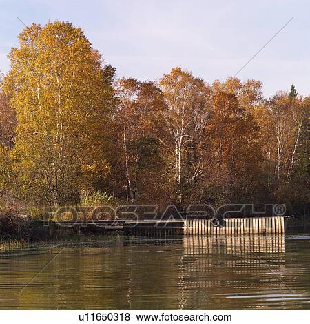 Stock Photo - Lake shoreline in autumn colours. Fotosearch