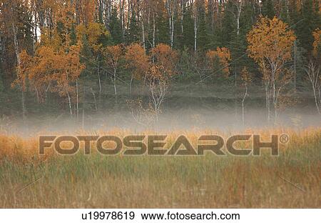 Stock Photo - Mist over Field of Autumn Colors. Fotosearch