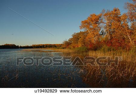 Shore of Lake with Autumn Colors View Large Photo Image Stock Photo - Shore of Lake with Autumn Colors. Fotosearch