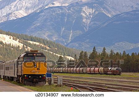 Stock Photo - Freight train traveling through mountains, Jasper National Park, Canada. Fotosearch