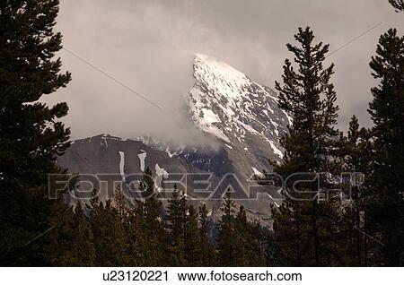 Stock Image - Low Cloud over snow capped mountain, Jasper National Park, Canada. Fotosearch