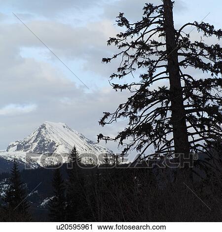 Stock Image - Nature trails in British Columbia. Canada. Fotosearch