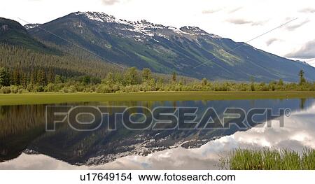 Picture - Reflection in Lake, Robson Provincial Park, Canada. Fotosearch