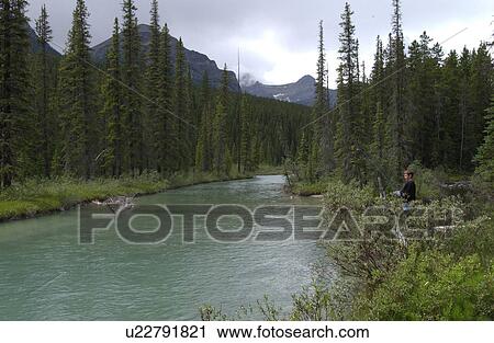 River flowing in a valley, Rocky Mountains, Canada View Large Photo Image Stock Image - River flowing in a valley, Rocky Mountains, Canada. Fotosearch