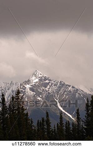 Snow Capped Mountain Peak, Jasper National Park, Canada View Large Photo Image Stock Image - Snow Capped Mountain Peak, Jasper National Park, Canada. Fotosearch