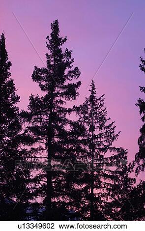 Sunrise - Banff, Alberta, Canada View Large Photo Image Stock Image - Sunrise - Banff, Alberta, Canada. Fotosearch