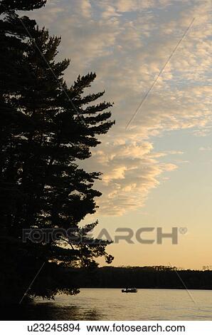 Lake of the Woods at twilight View Large Photo Image Picture - Lake of the Woods at twilight. Fotosearch