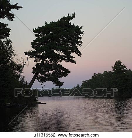 Stock Image - Lake of the Woods at Twilight. Fotosearch