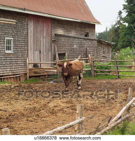 Stock Photo - Prince Edward Island - Canada. Fotosearch