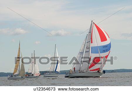 Sailing boats sailing in Lake of the woods, Ontario, Canada View Large Photo Image Stock Image - Sailing boats sailing in Lake of the woods, Ontario, Canada. Fotosearch