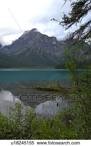 A lake between mountains, Rocky Mountains, Canada View Large Photo Image Stock Photography - A lake between mountains, Rocky Mountains, Canada. Fotosearch