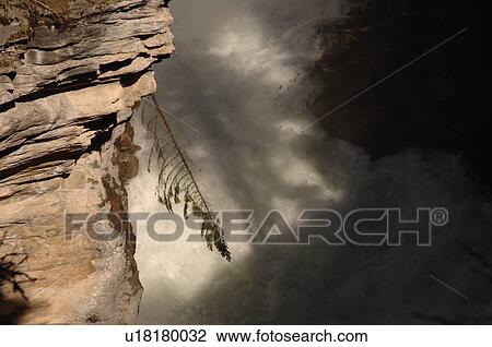 Stock Image - Athabasca Falls, Jasper National Park, Canada. Fotosearch