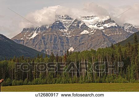 Stock Photo - Forest with Mountain, Robson Provincial Park, Canada. Fotosearch