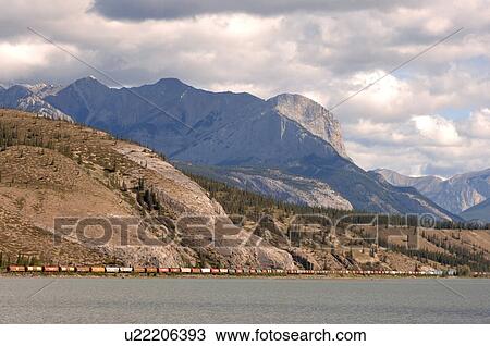 Freight train traveling through mountains, Jasper National Park, Canada View Large Photo Image Stock Image - Freight train traveling through mountains, Jasper National Park, Canada. Fotosearch
