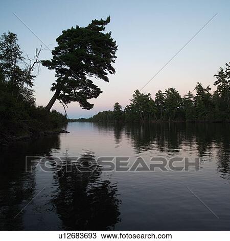 Stock Image - Lake of the Woods at Twilight. Fotosearch