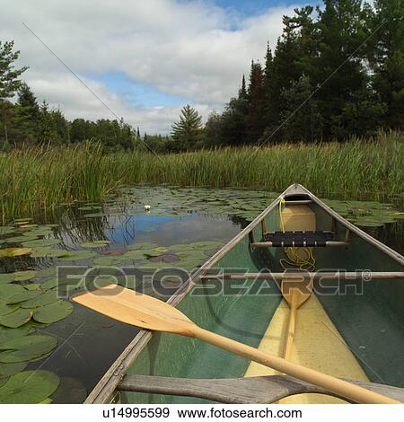 Stock Photo - Lake of the woods - Ontario, Canada. Fotosearch