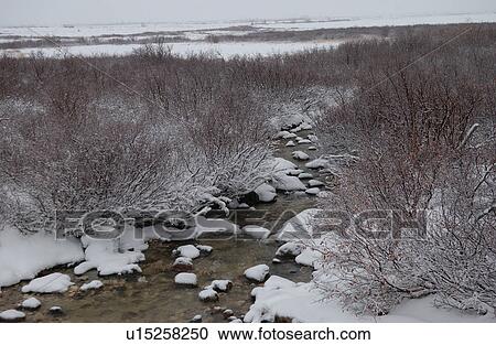 Landscape in Churchill Manitoba Canada North View Large Photo Image Stock Image - Landscape in Churchill Manitoba Canada North. Fotosearch