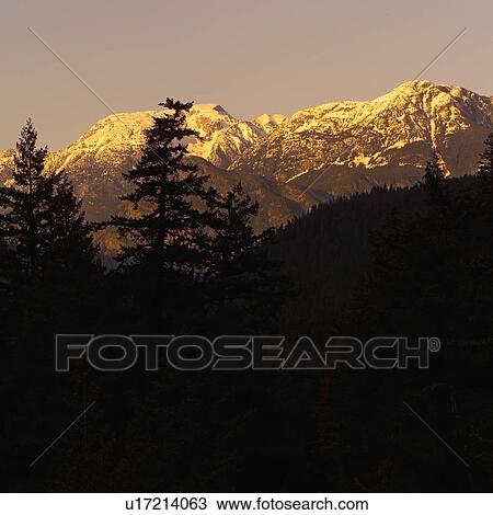 Stock Image - Nature trails in British Columbia. Canada. Fotosearch