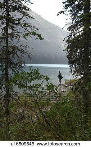Panoramic view of a person standing by a lake, Rocky Mountains, Canada View Large Photo Image Stock Photograph - Panoramic view of a person standing by a lake, Rocky Mountains, Canada. Fotosearch