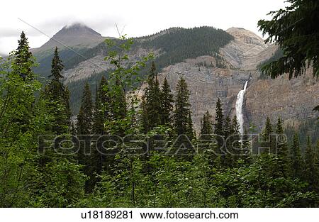 Stock Image - Panoramic view of trees and a waterfall on a mountain, Rocky Mountains, Canada. Fotosearch