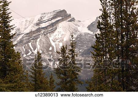 Stock Image - Snow Capped Rocky Mountains, Jasper National Park. Fotosearch