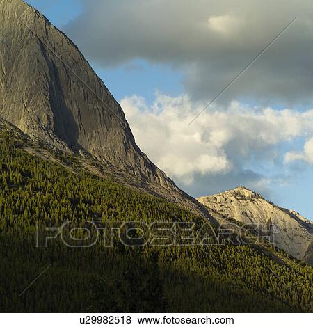 Stock Photo - Two hikers walking down path in forest, Mt. Robson Provincial Park, Canada. Fotosearch