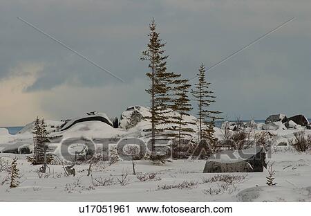 Stock Image - Churchill Northern Manitoba town and surroundings landscape. Fotosearch