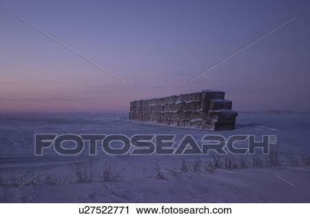 Stock Image - winter in Manitoba, prairie scene. Fotosearch