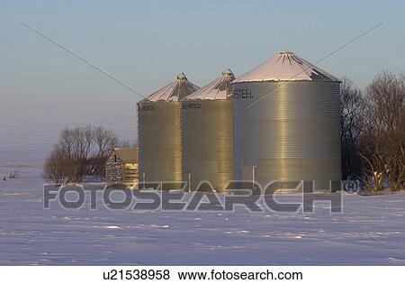 winter in Manitoba, prairie scene View Large Photo Image Stock Photo - winter in Manitoba, prairie scene. Fotosearch