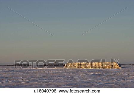 winter in Manitoba, prairie scene View Large Photo Image Stock Photograph - winter in Manitoba, prairie scene. Fotosearch